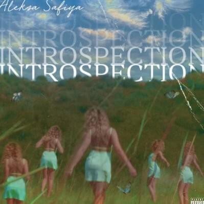 Introspection