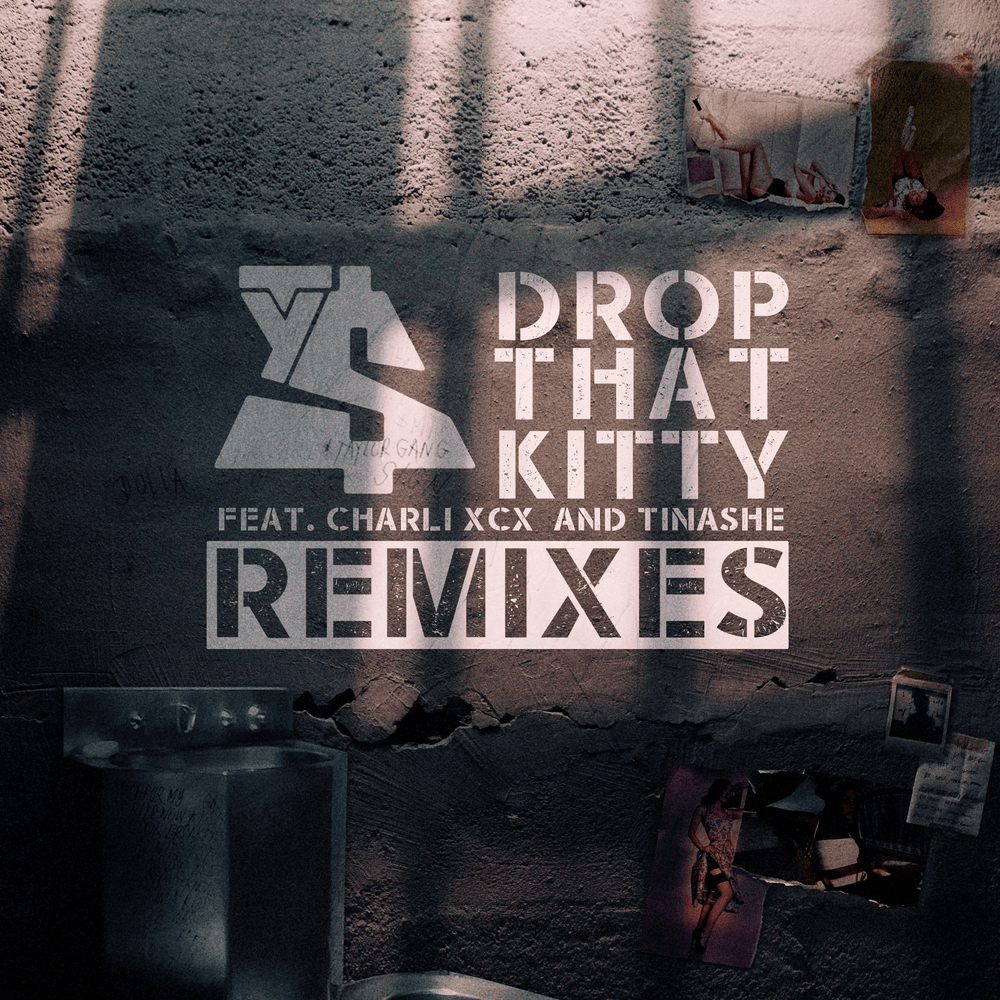 Drop That Kitty (Remixes)