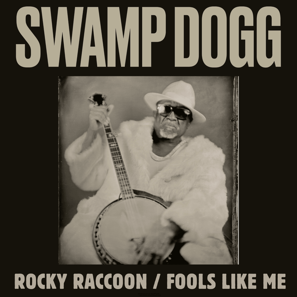 Rocky Raccoon