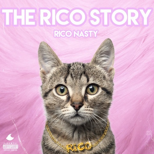 The Rico Story