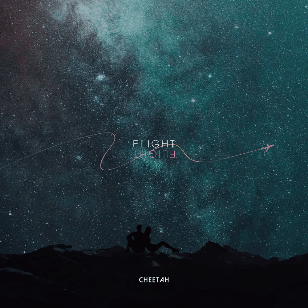 비행 (Flight)