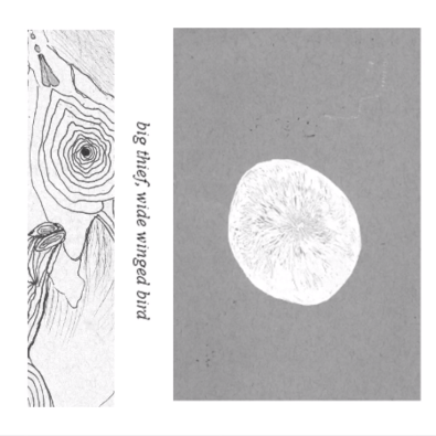 Wide Winged Bird - EP