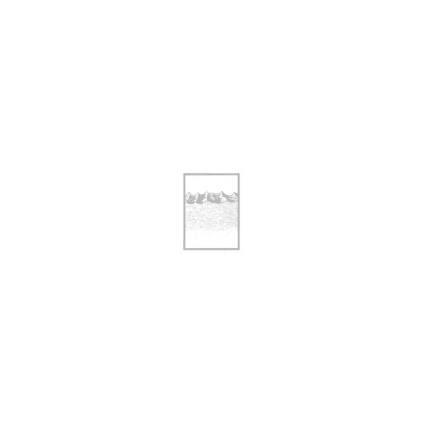 Oceanic: Remixes/Reinterpretations