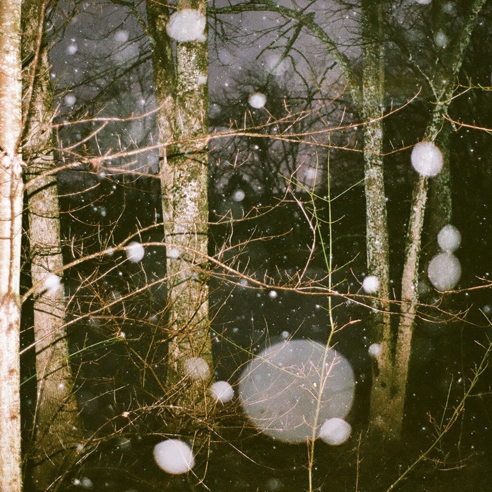 After the Warmth