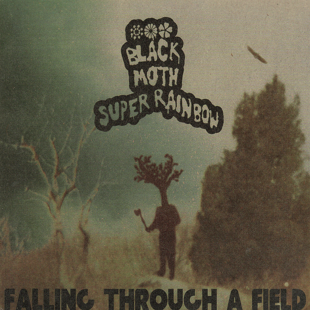 Falling Through a Field (Reissue)