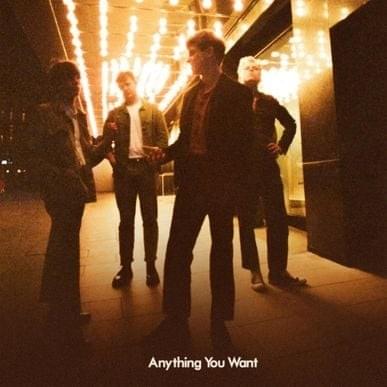 Anything You Want - Single