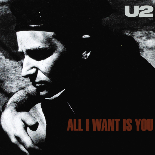 All I Want Is You - Single