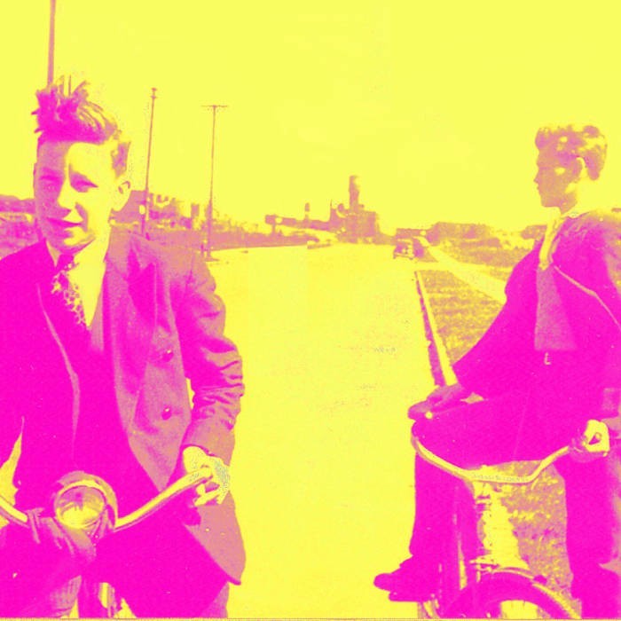 Swung From the Branches