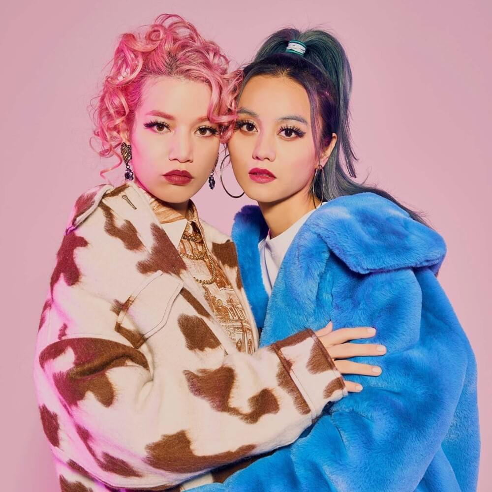 FEMM