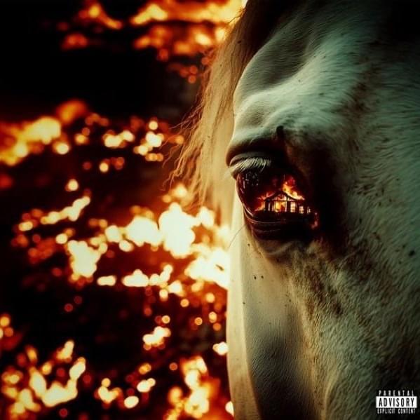 LYFESTYLE (HORSE EDITION)