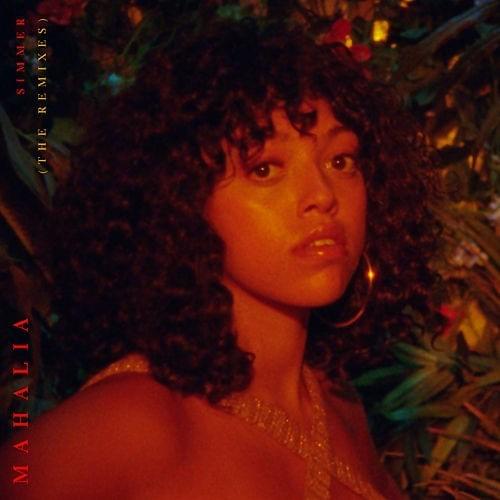 Simmer (The Remixes)