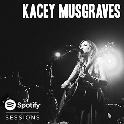 Spotify Sessions (Live From Bonnaroo 2013)