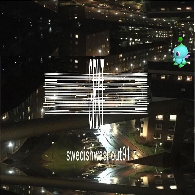 Swedishwashout91