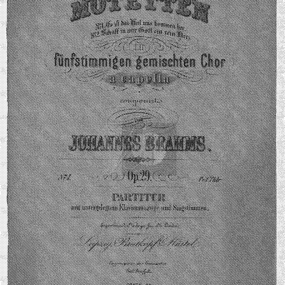 Zwei Motetten, Op. 29