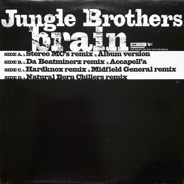 Brain