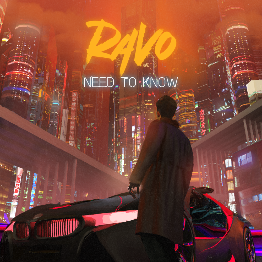 RAVO (Artist)