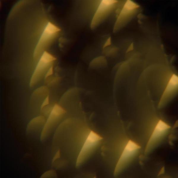 Music from ‘Likely Stories’