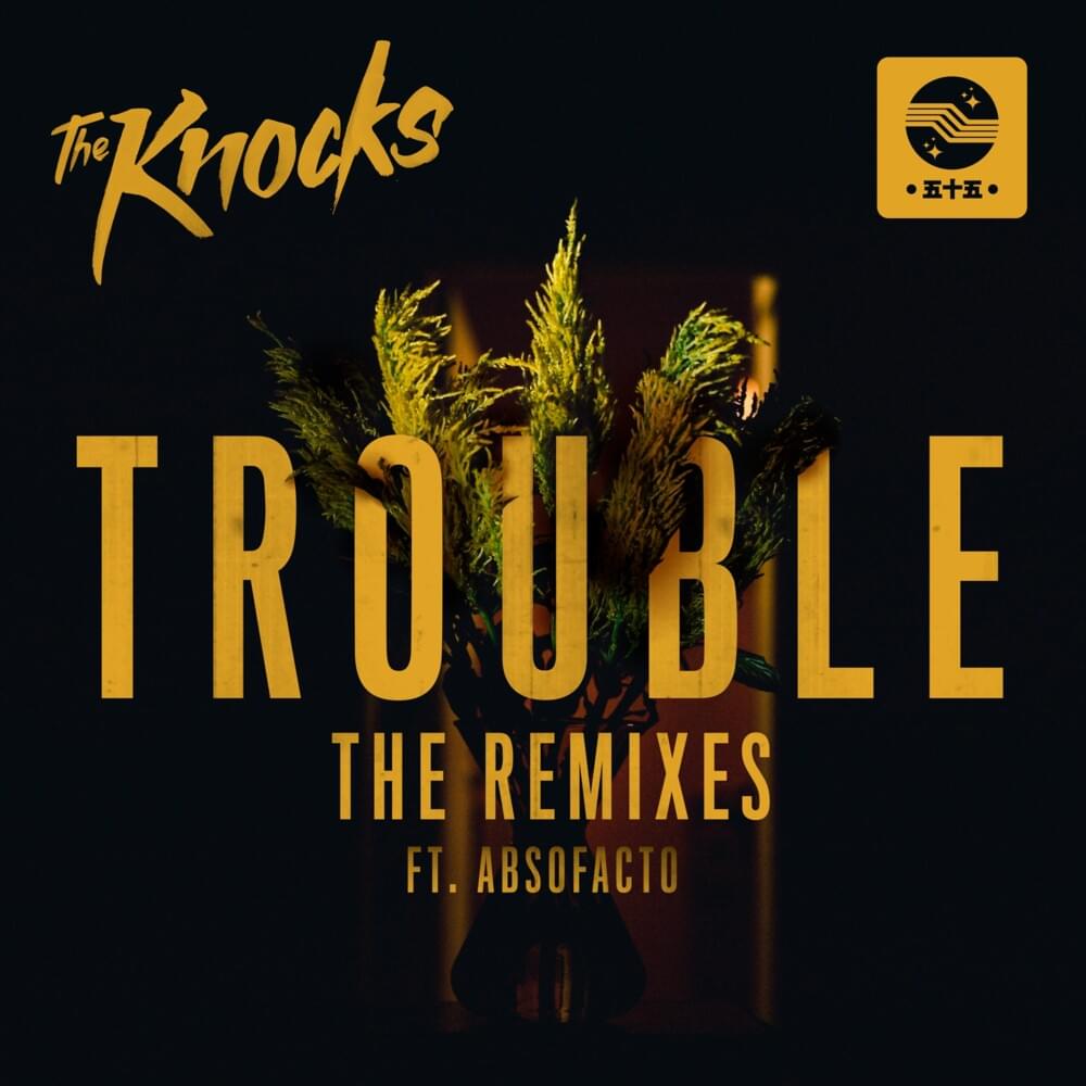 TROUBLE (The Remixes)