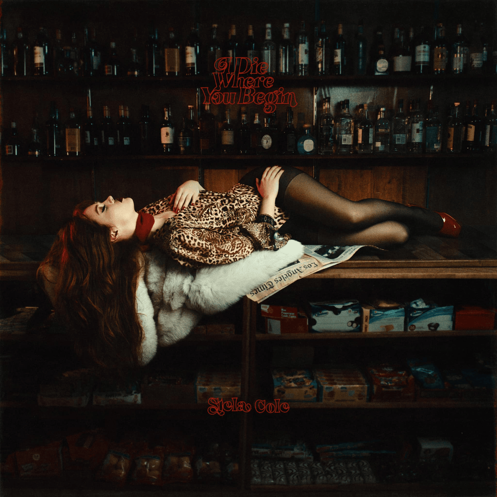 I Die Where You Begin (Reissue)