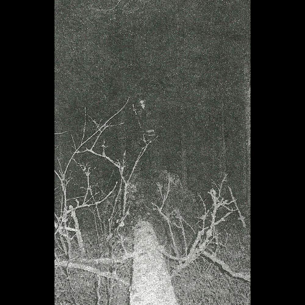 The Song Of A Long Forgotten Ghost