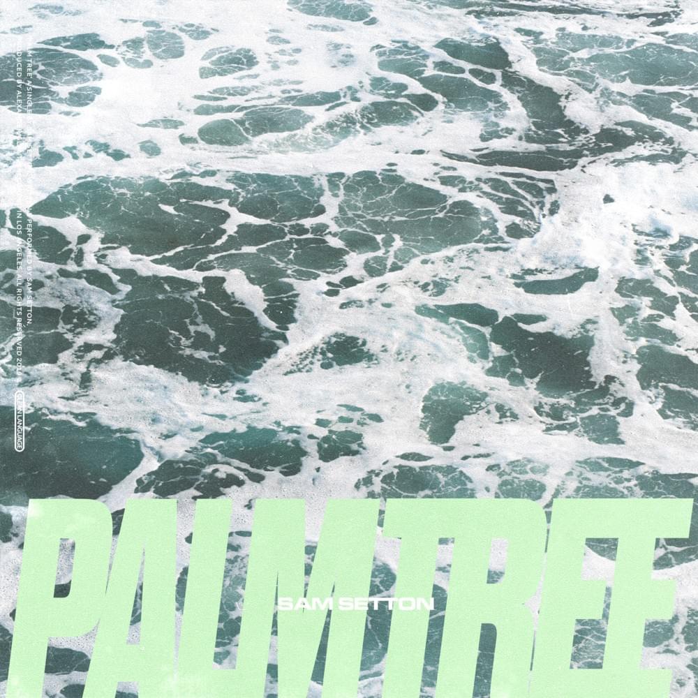 Palm Tree - Single