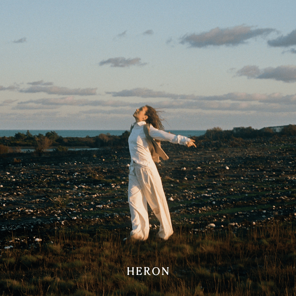 Heron 