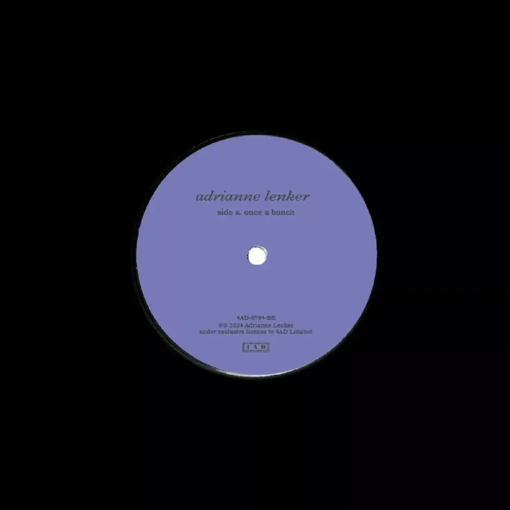 Once A Bunch / Who Can Say