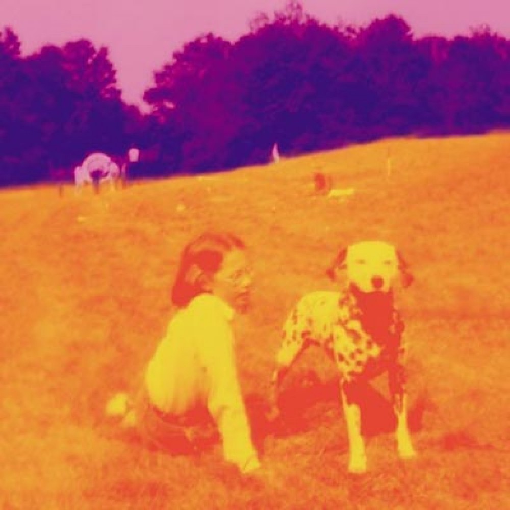Blinking Lights and Other Revelations (Disc 1)