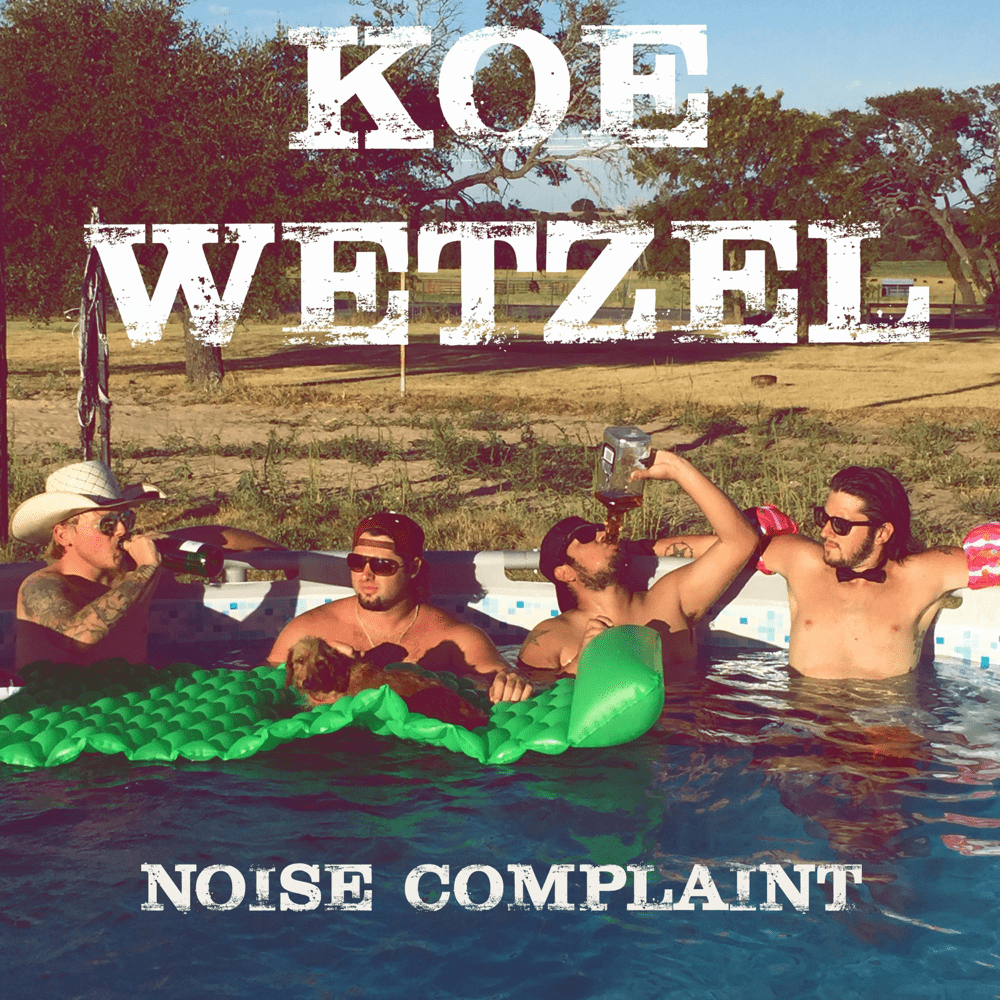 Noise Complaint
