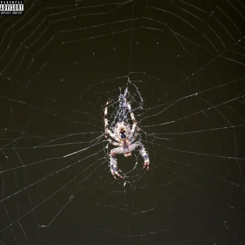 Web Of USA