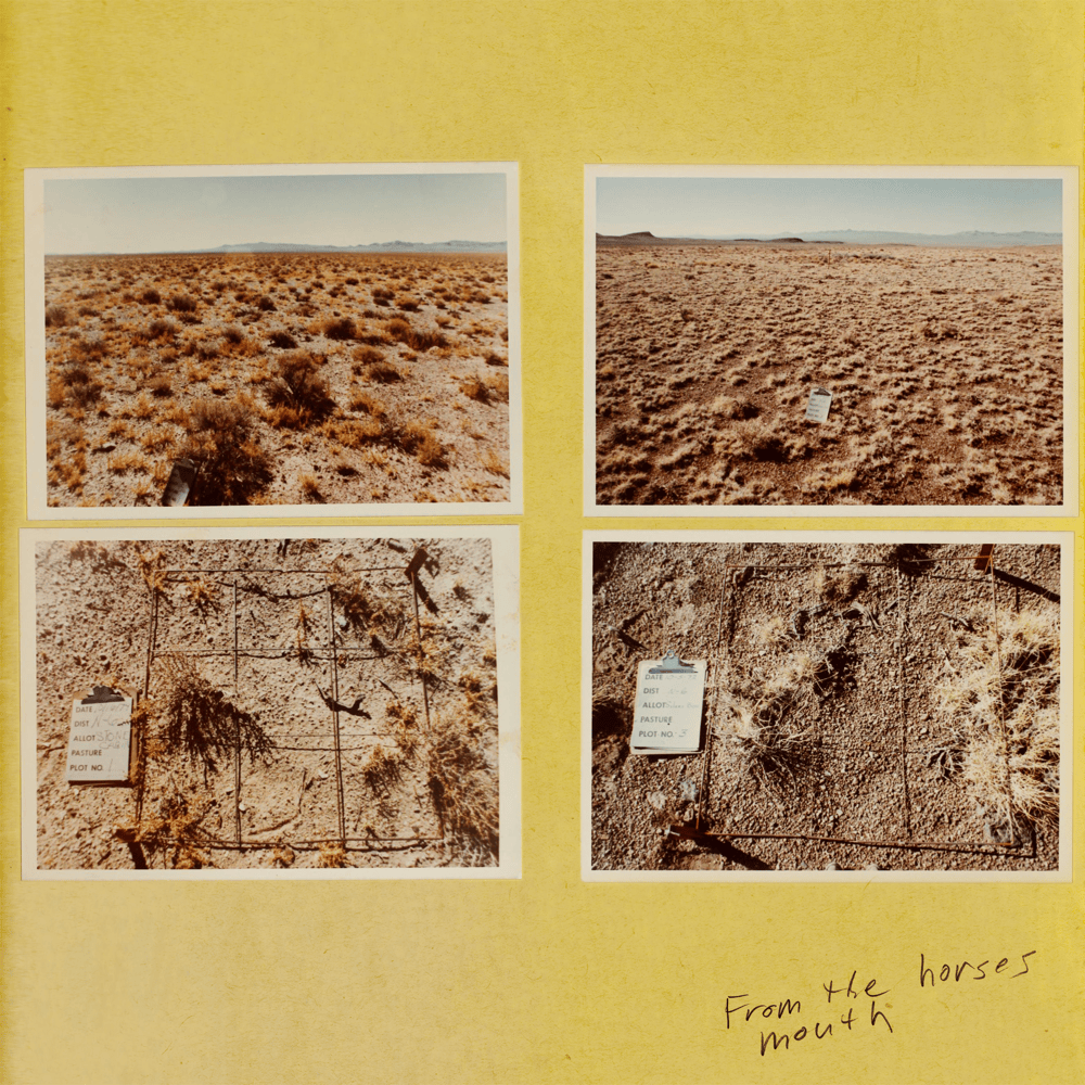 From the horse’s mouth - EP