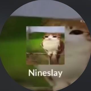 nineslay