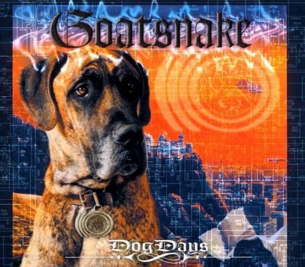 Dog Days