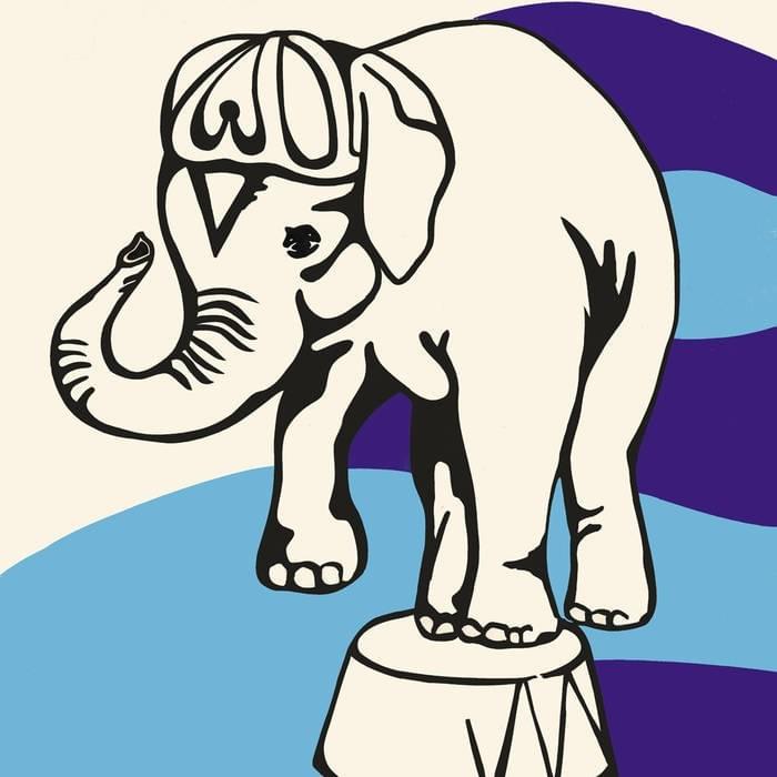 Live at Jittery Joe’s