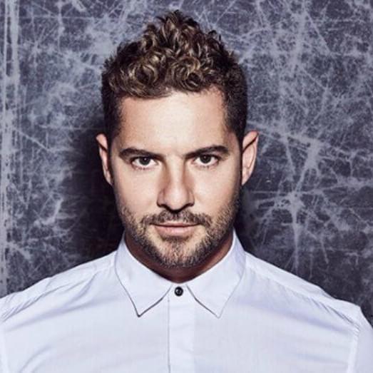 David Bisbal