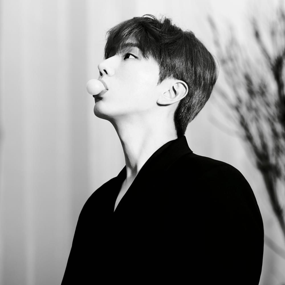 Kihyun (기현)