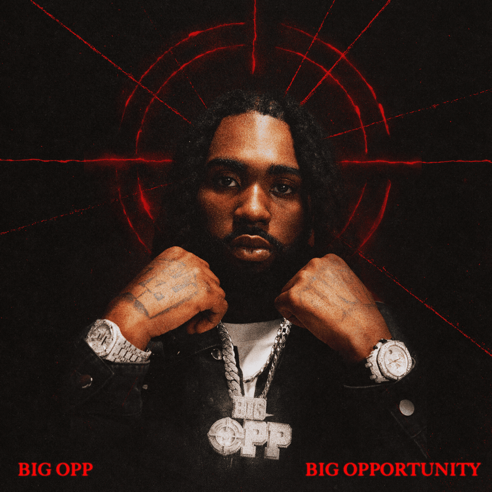 BIG OPPORTUNITY