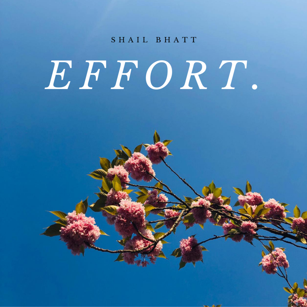 Effort