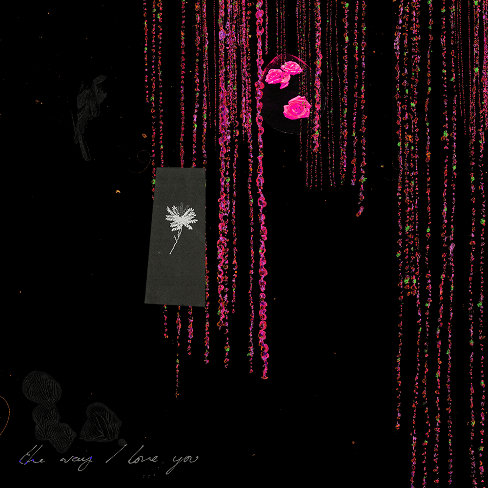 The Way I Love You (Remixes)