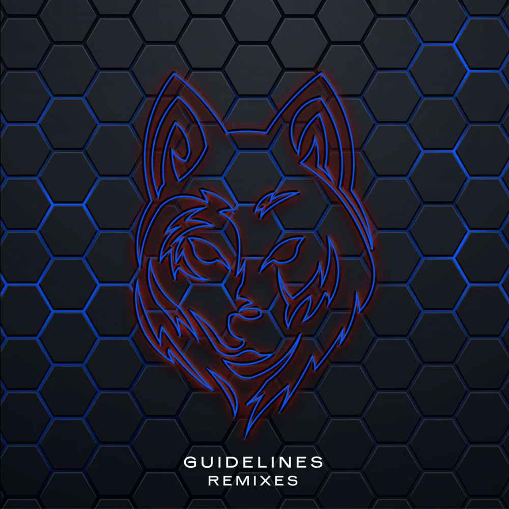 Guidelines (Remixes)