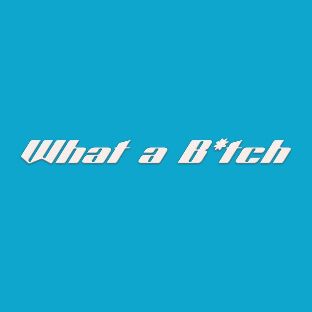 What a B*tch - Single