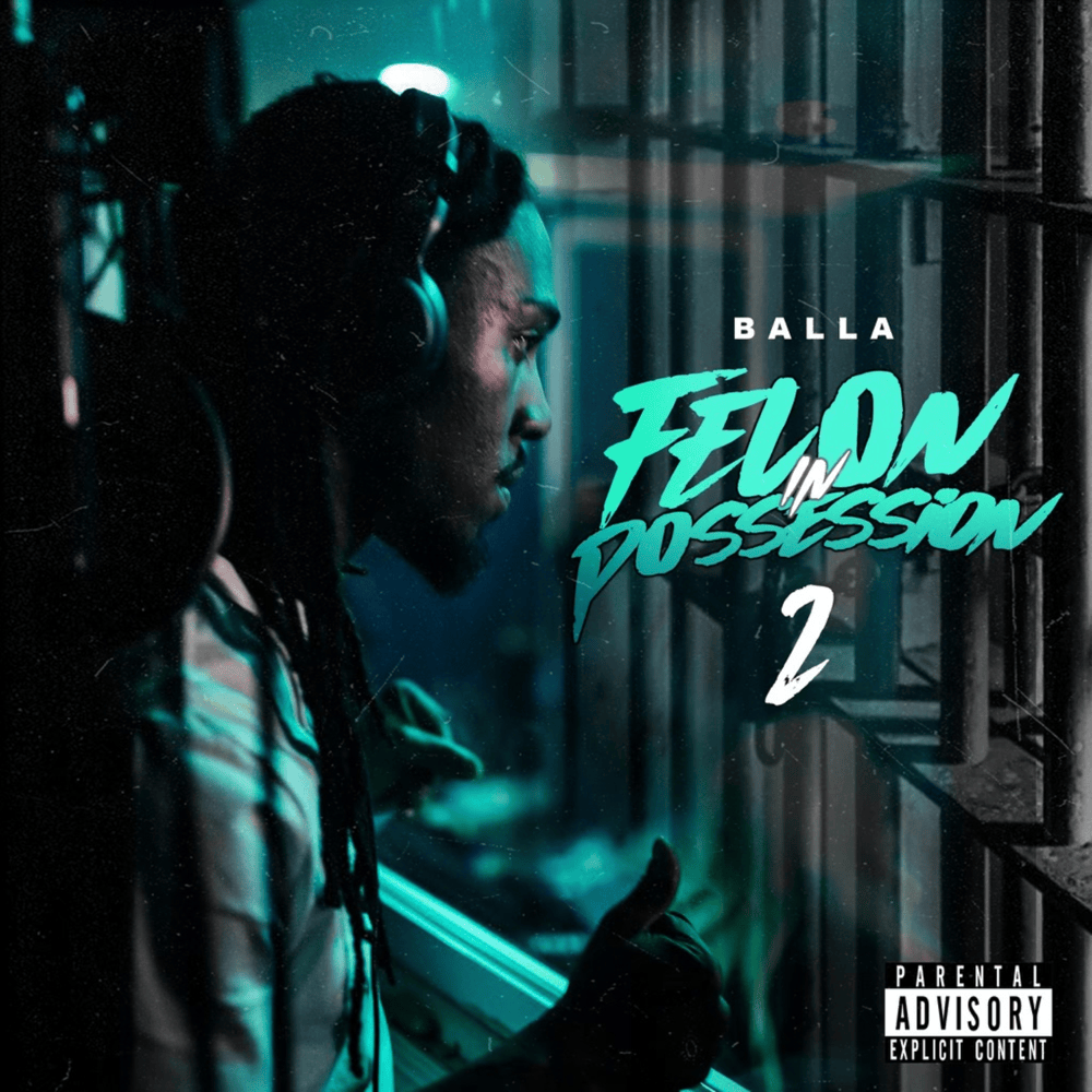 Felon in Possession 2