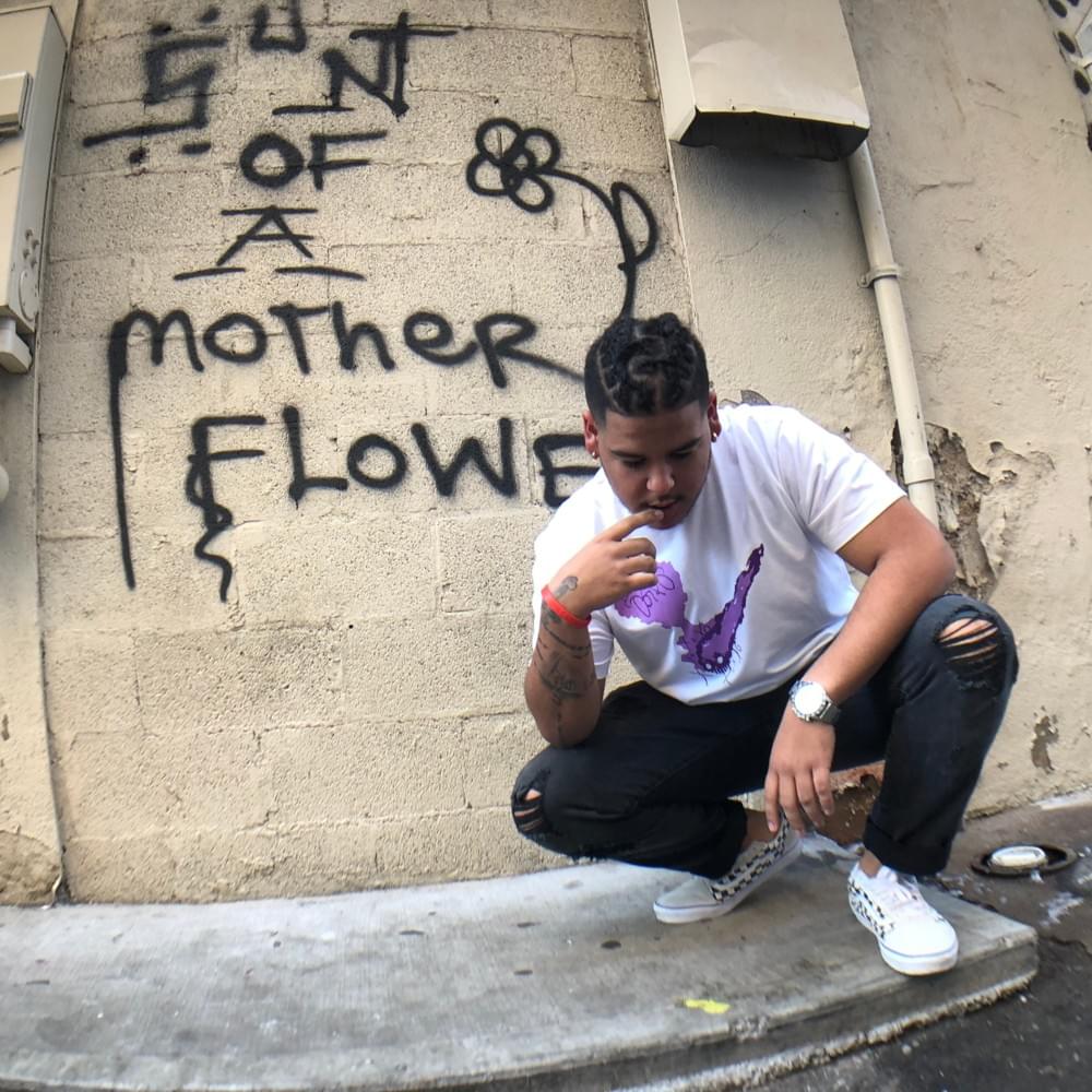 Ogxo