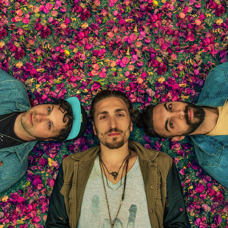 Magic Giant