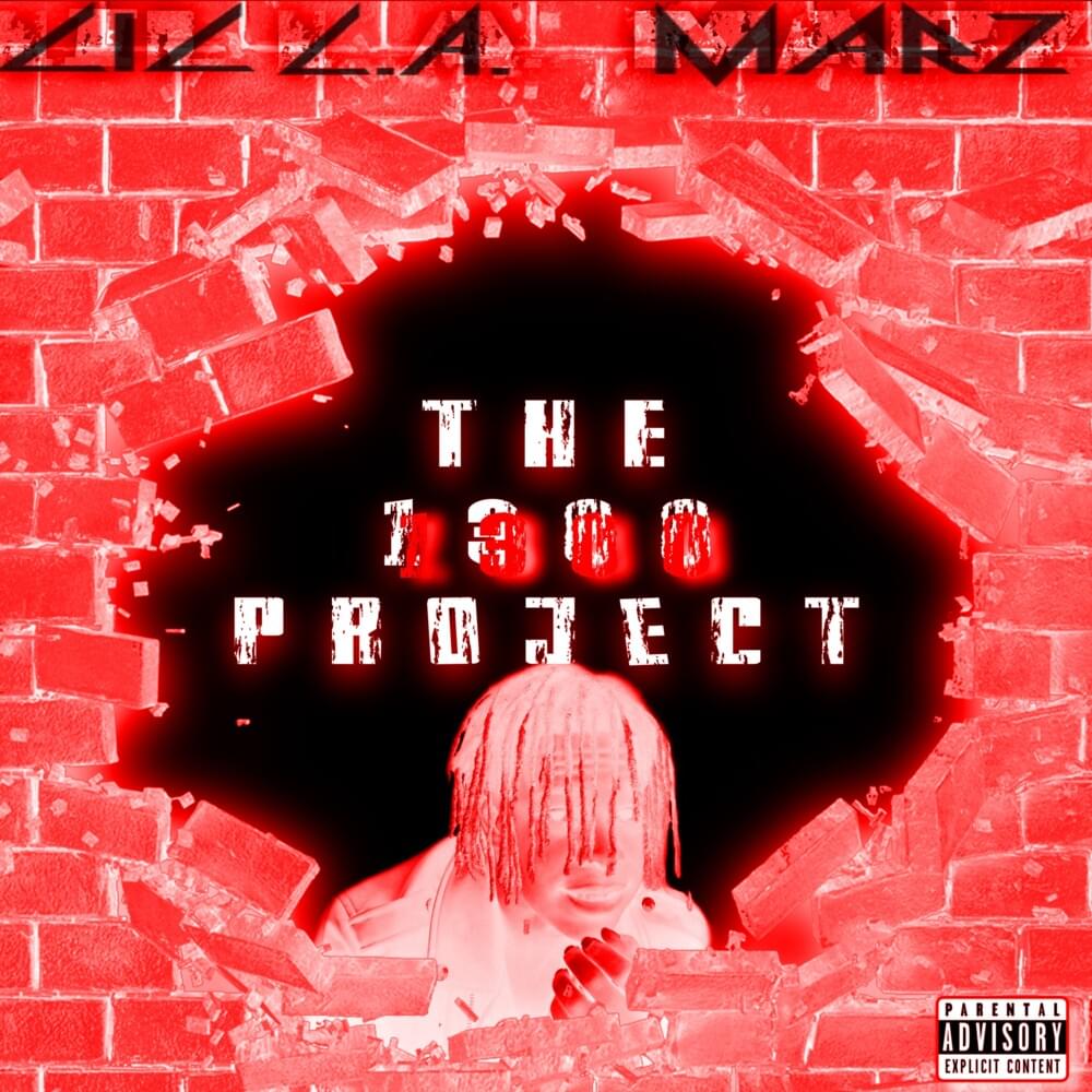 The 1300 Project
