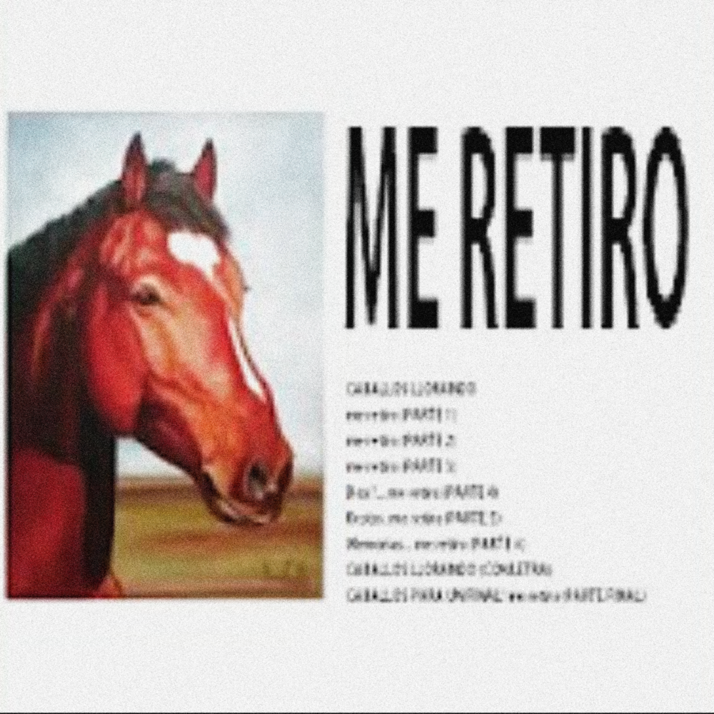 ME RETIRO