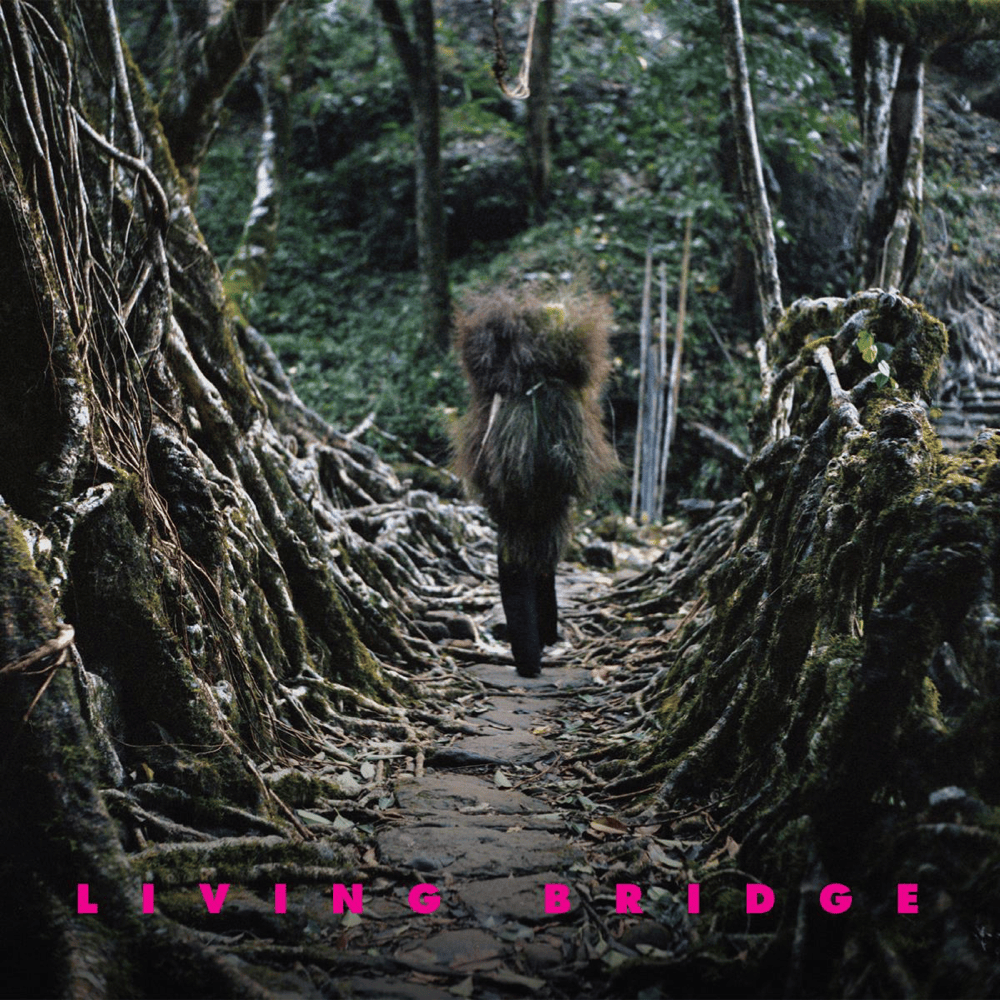 Living Bridge