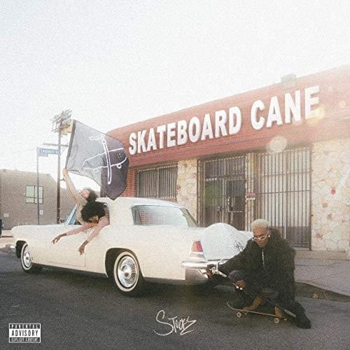 SKATEBOARD CANE