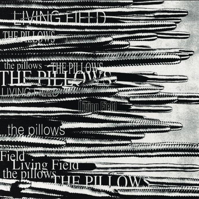 LIVING FIELD