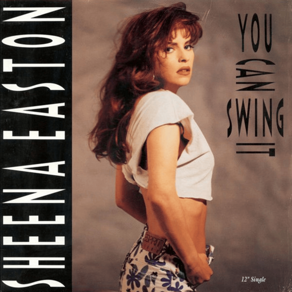 You Can Swing It (Single)